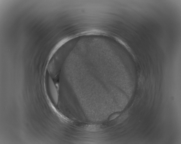 X0000080681418200701121647