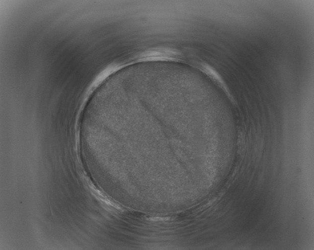 X0000080681419200701121647