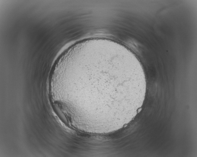 X0000080681420200701121647