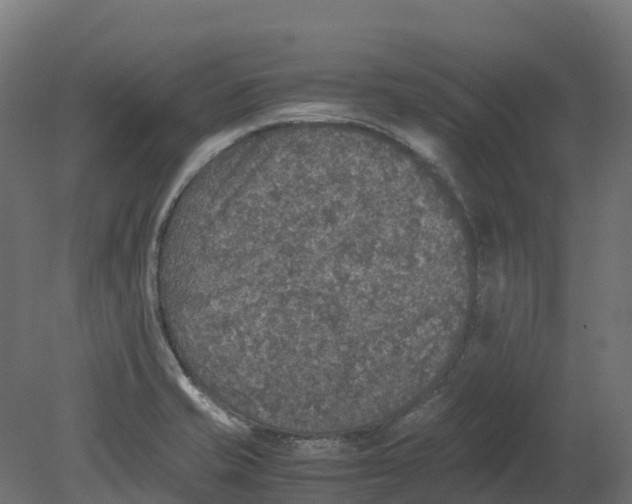 X0000080681421200701121647