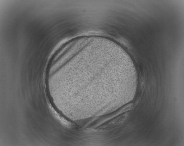 X0000080681422200701121647