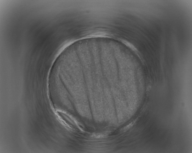 X0000080681423200701121647