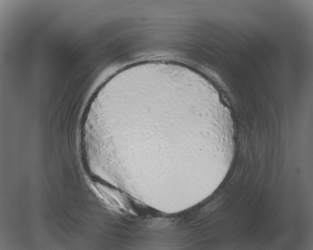 X0000080681424200701121647