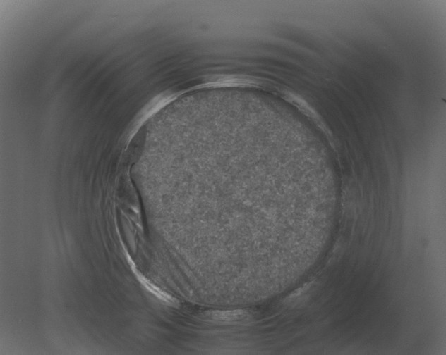 X0000080681425200701121647