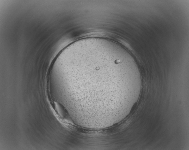 X0000080681426200701121647