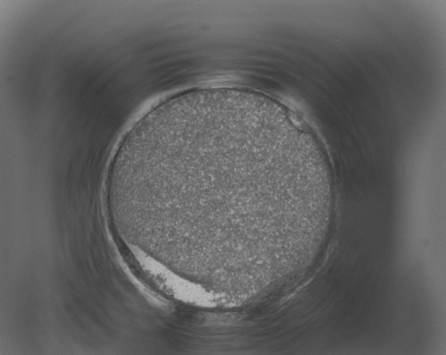 X0000080681429200701121647