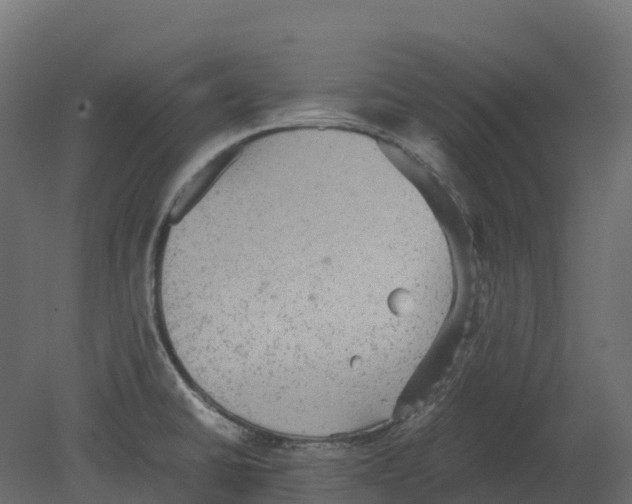 X0000080681430200701121647