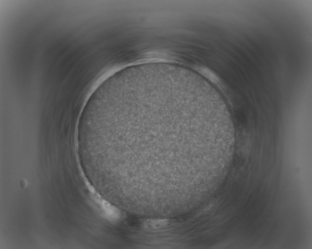 X0000080681431200701121647