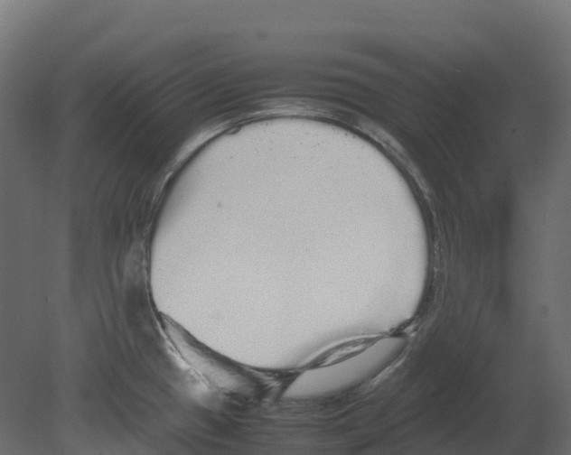 X0000080681433200701121647