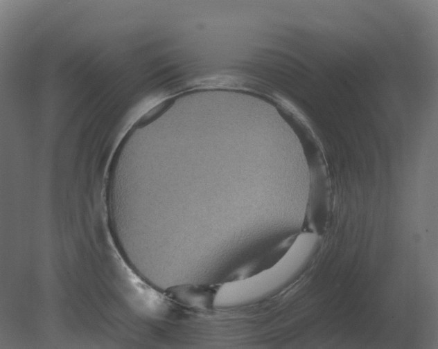 X0000080681434200701121647