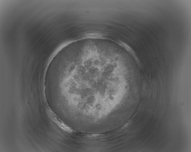 X0000080681435200701121647