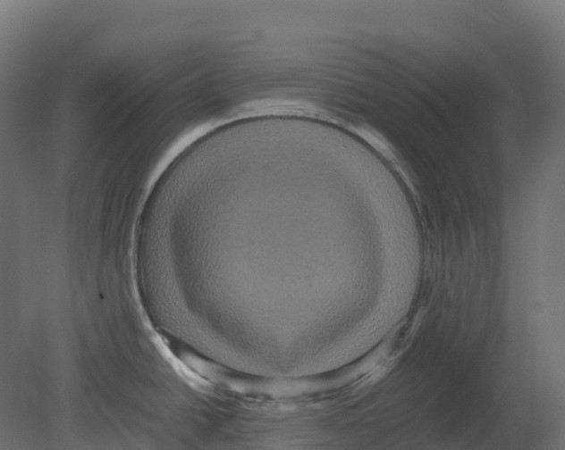 X0000080681438200701121647