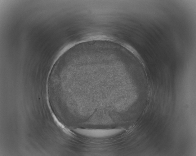 X0000080681439200701121647