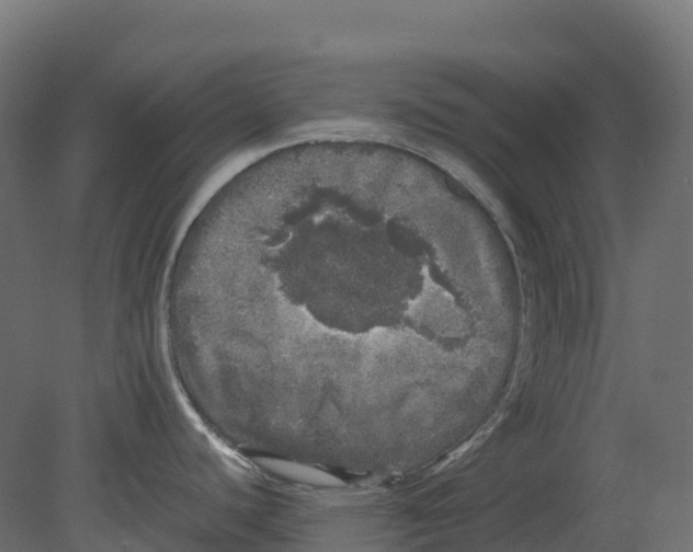 X0000080681440200701121647