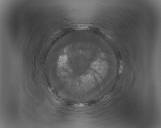 X0000080681441200701121646