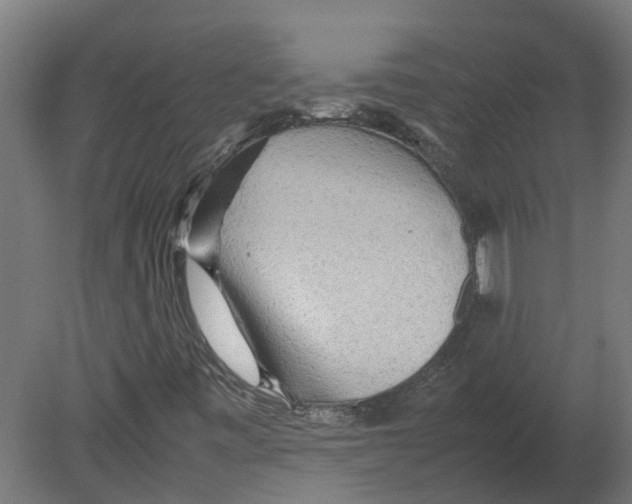 X0000080681443200701121646