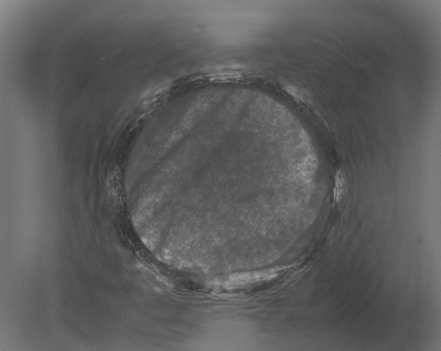 X0000080681445200701121646