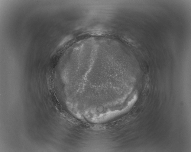 X0000080681446200701121646