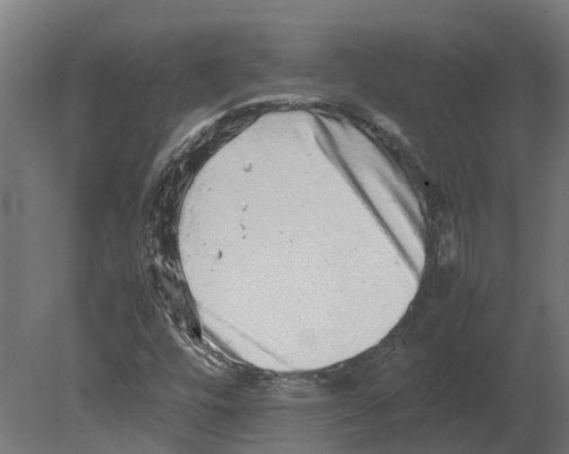 X0000080681448200701121646