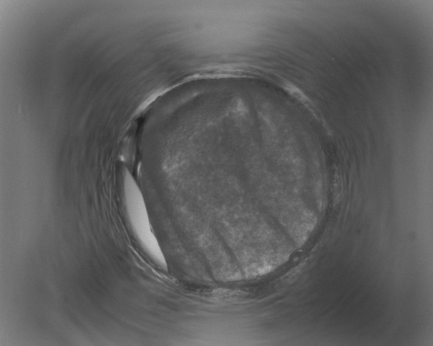 X0000080681449200701121646