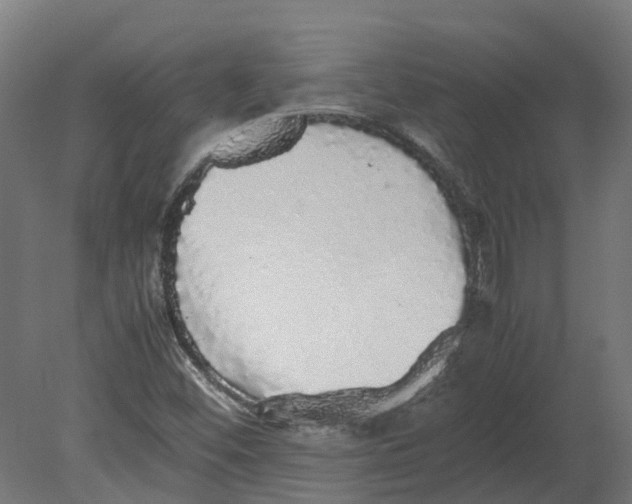 X0000080681452200701121646