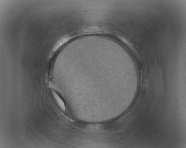 X0000080681453200701121646