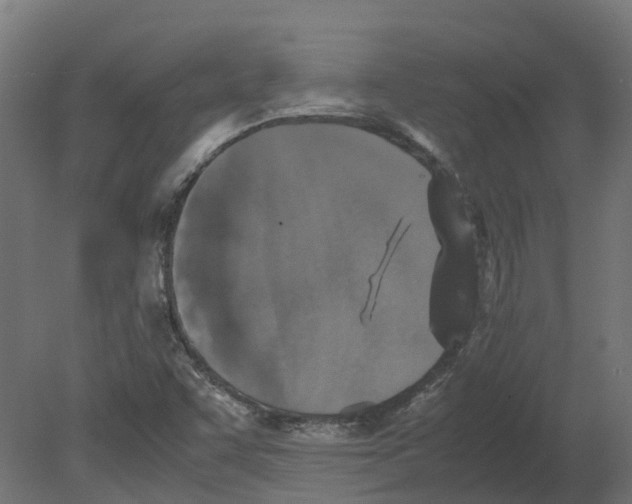 X0000080681455200701121646