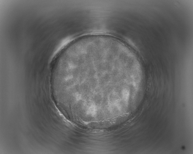 X0000080681456200701121646