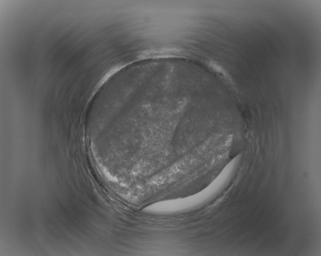 X0000080681457200701121646