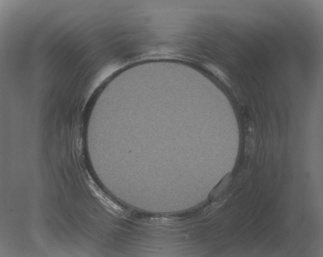 X0000080681458200701121646