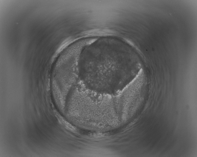 X0000080681459200701121646