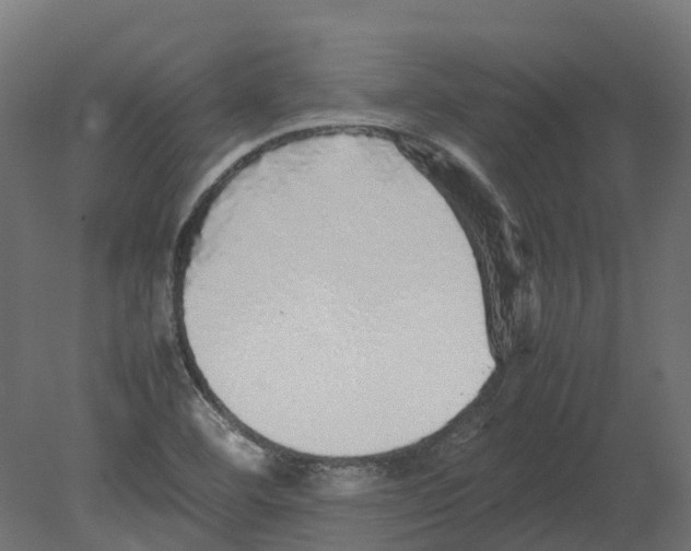 X0000080681460200701121646