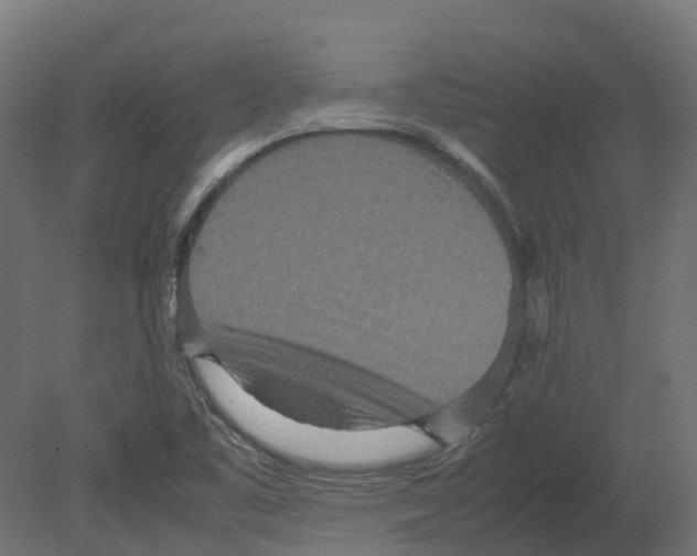 X0000080681461200701121646