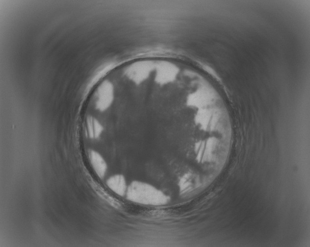 X0000080681463200701121646