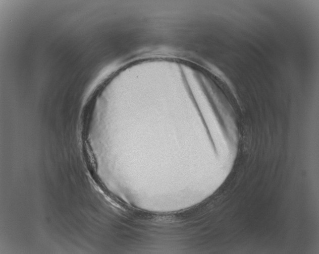 X0000080681464200701121646