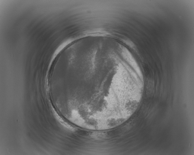 X0000080681466200701121646