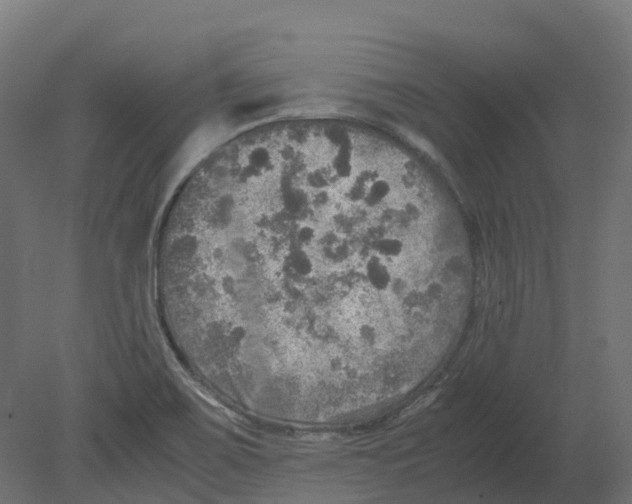 X0000080681467200701121646