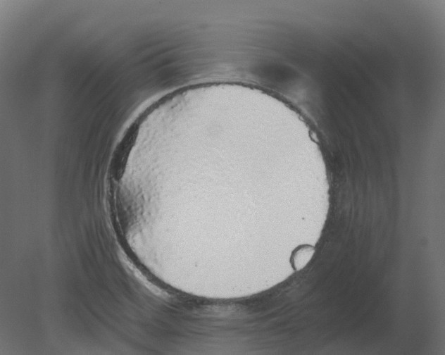 X0000080681468200701121646