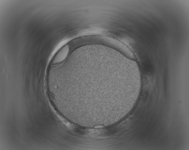 X0000080681469200701121646