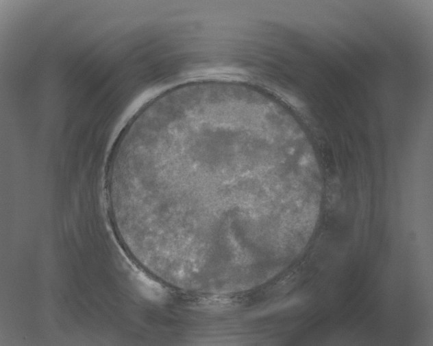 X0000080681470200701121646