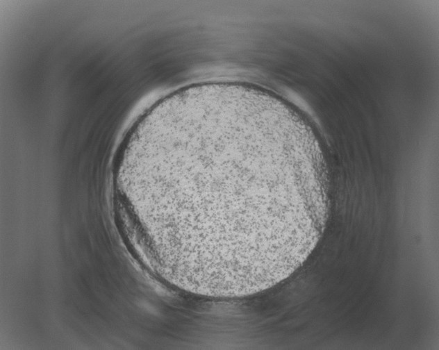 X0000080681472200701121646