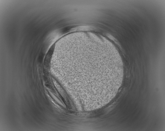 X0000080681473200701121646