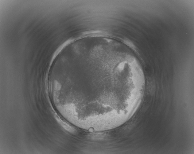 X0000080681474200701121646