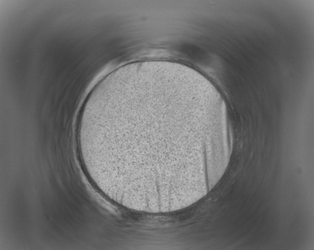 X0000080681475200701121646