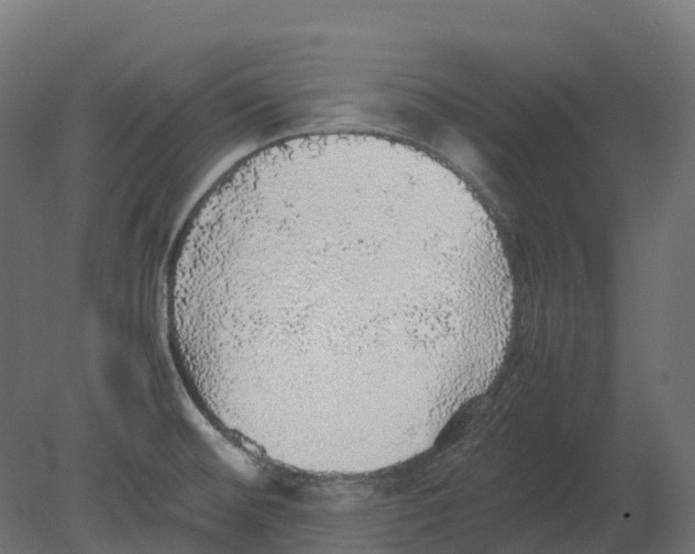 X0000080681476200701121646