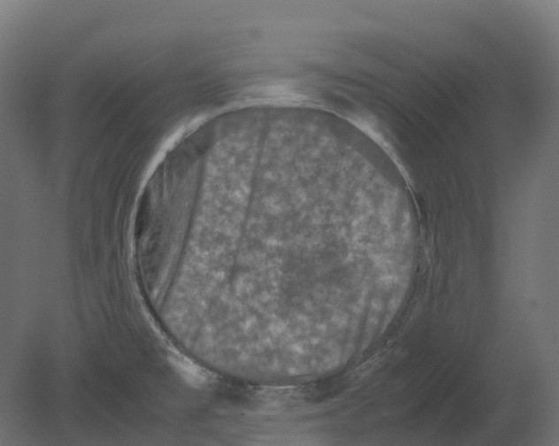 X0000080681477200701121646