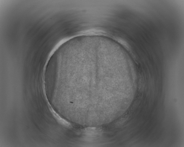 X0000080681478200701121646