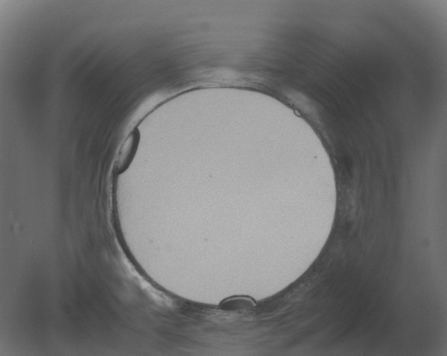 X0000080681479200701121646