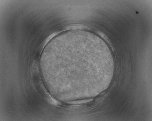 X0000080681481200701121646