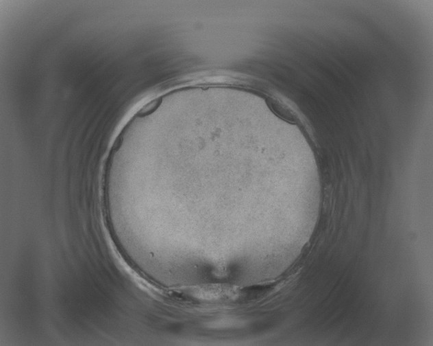 X0000080681483200701121646